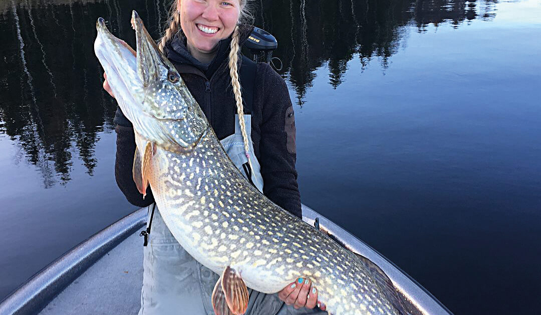 Gäddfiske - Utrustning och tips »  - Fiskebutik