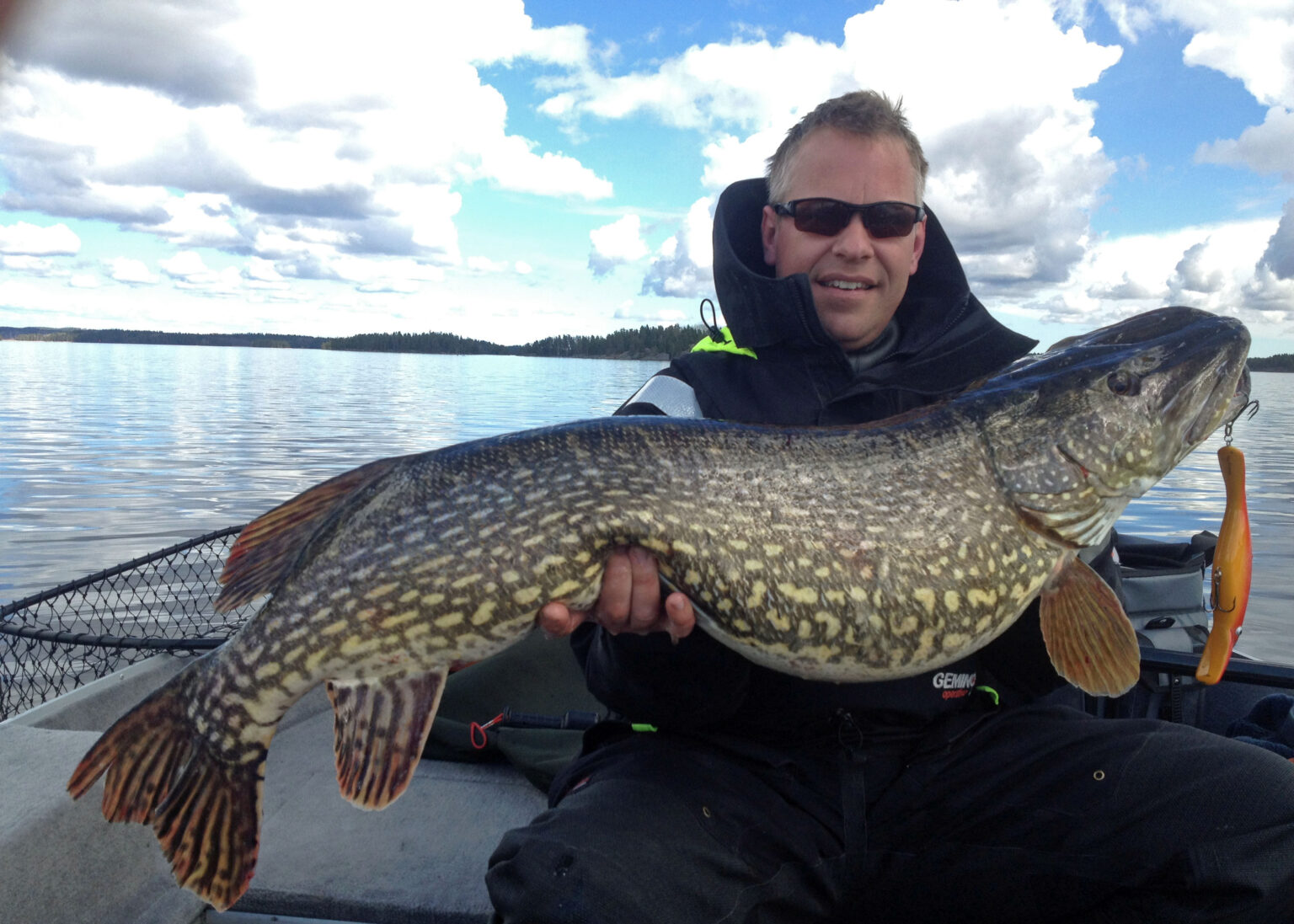 Framtiden för stor gädda i Vättern - Svenskt Fiske