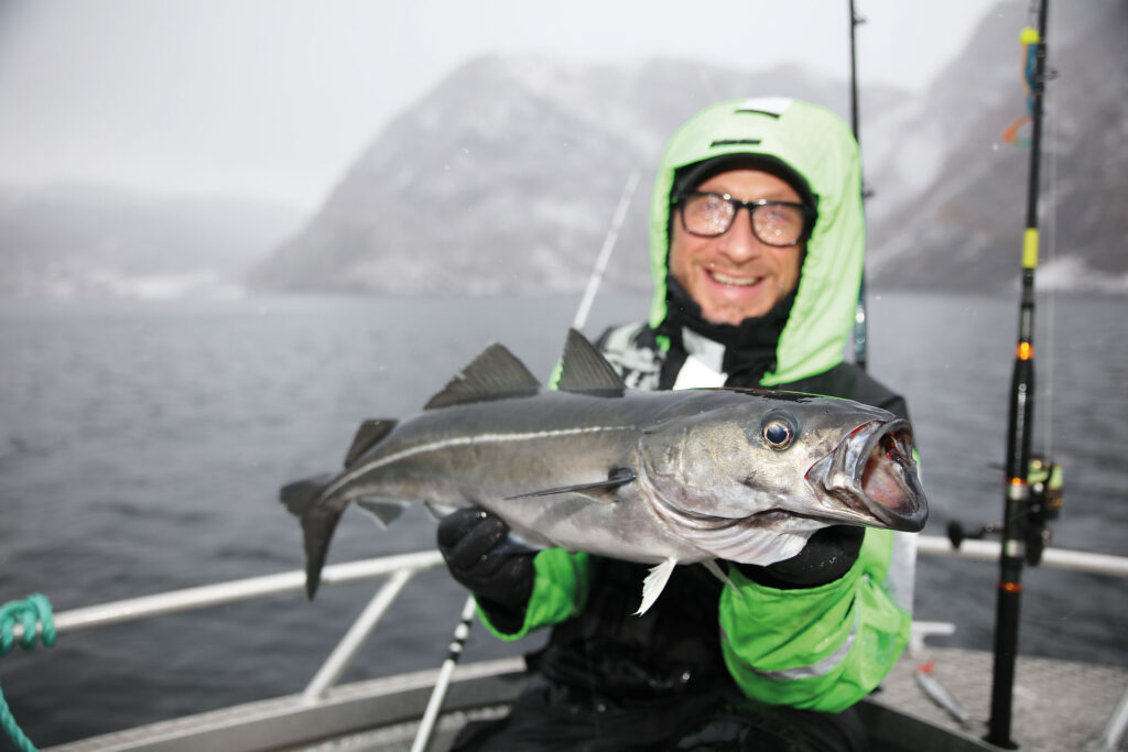 Fiske Sej i Norge.